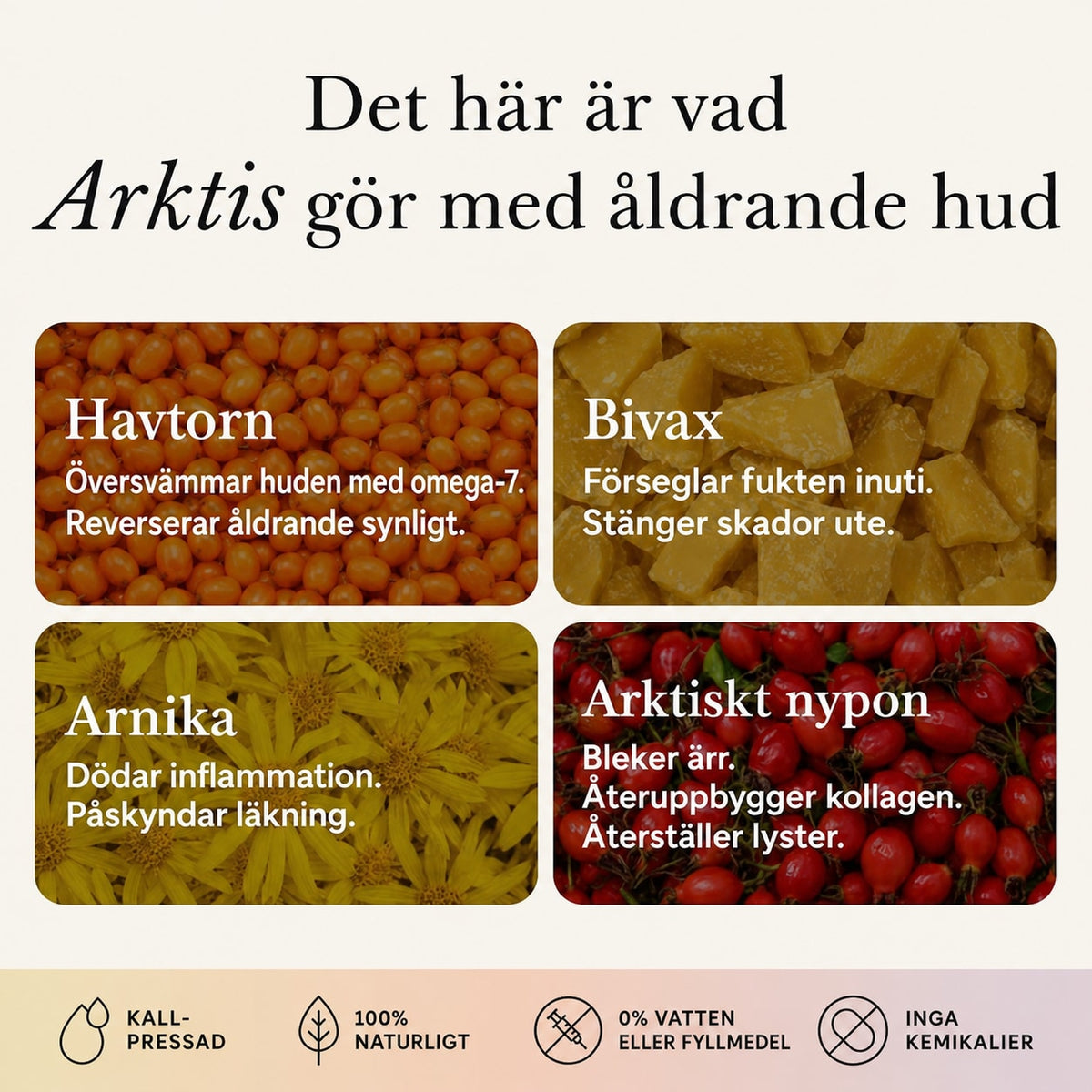 Det kompletta systemet för mogen kvinnohud